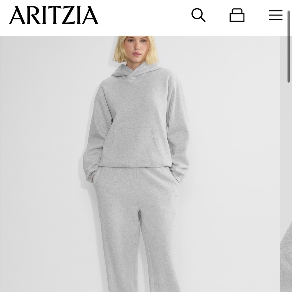 Aritzia Gray Hoodie